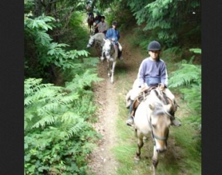 Pbaños a caballo en las Montañas Negras 